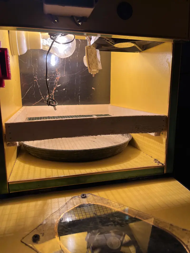 25 eggs incubator — photo 3