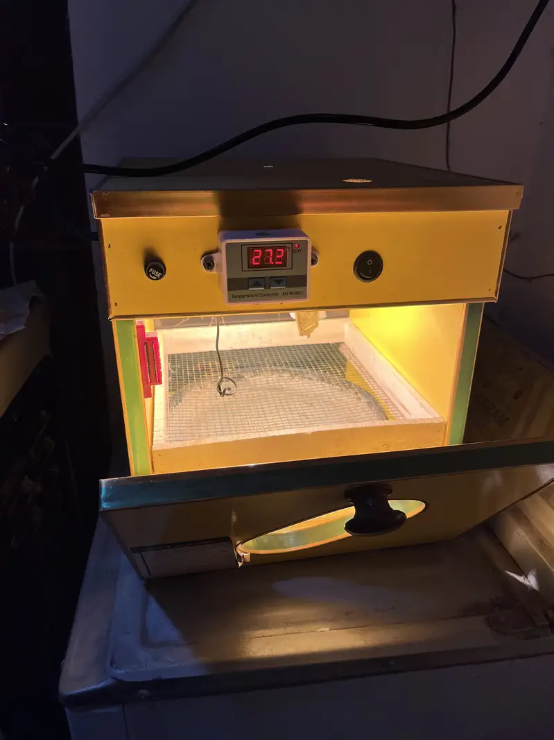 25 eggs incubator — photo 4