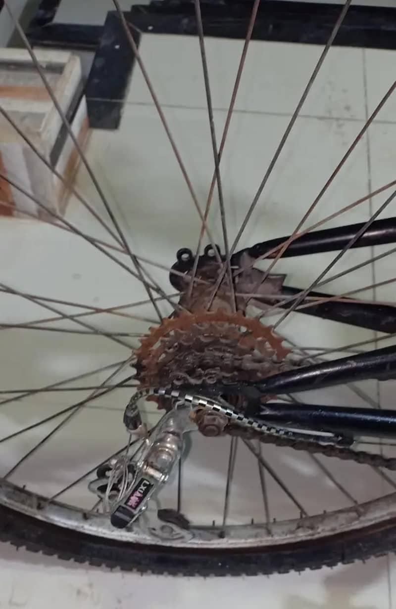 Mountain Dew Cycle 26 Size. 7