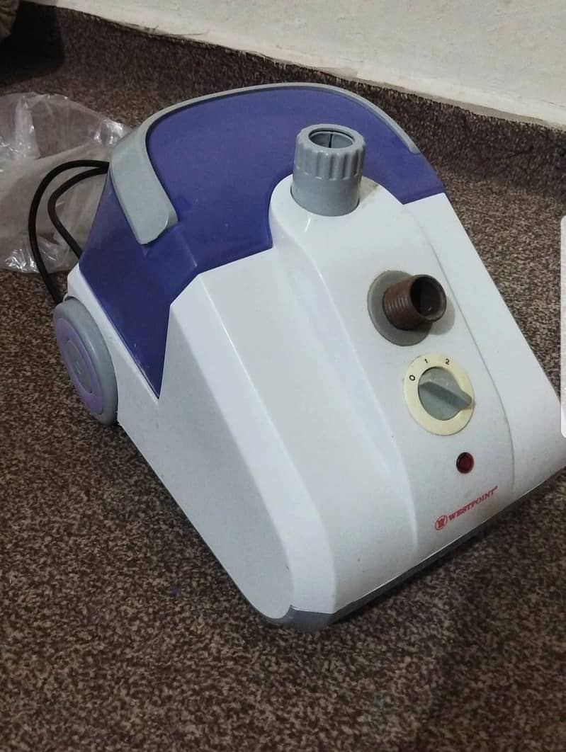 steam iron 2