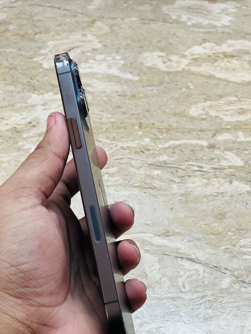 Apple iPhone 13 Pro Max 2