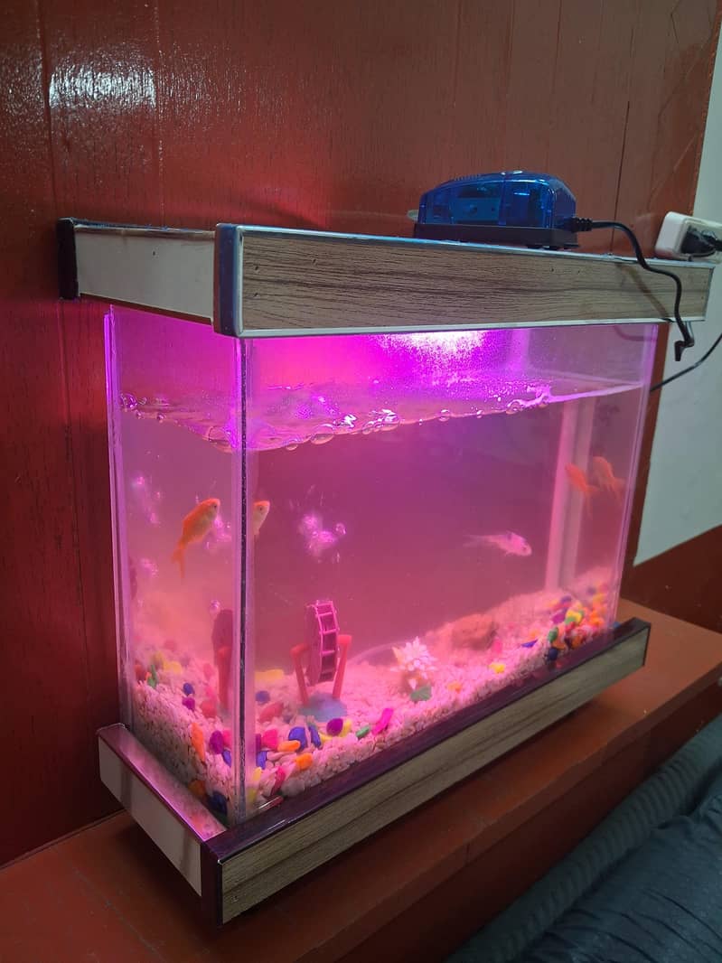 Fish Aquarium 1