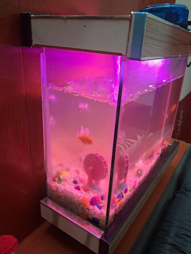 Fish Aquarium 2