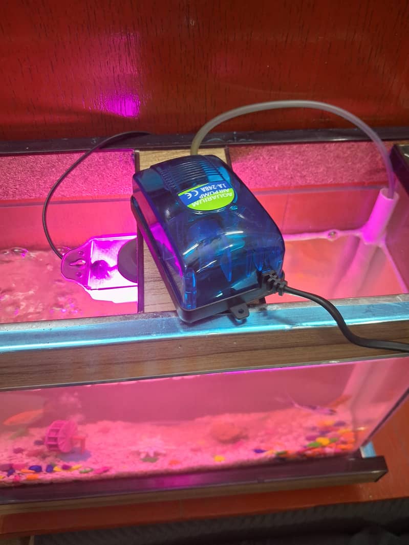 Fish Aquarium 3