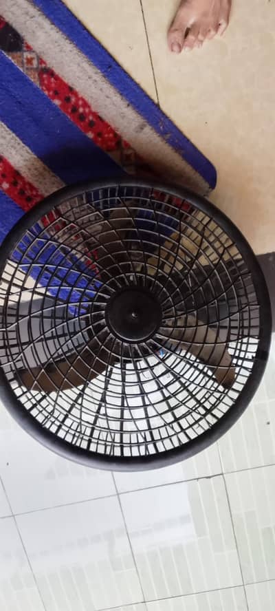12 volt DC fan