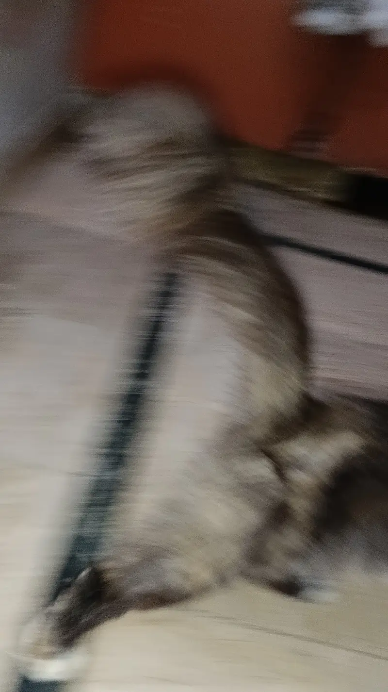 Muja nhi pata iski vacksin hoi ha Ka nhi03000418505 — photo 6