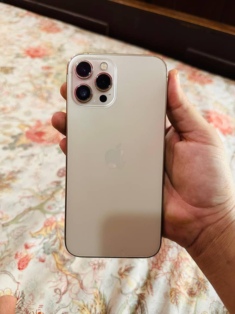 Apple iPhone 12 Pro Max 3