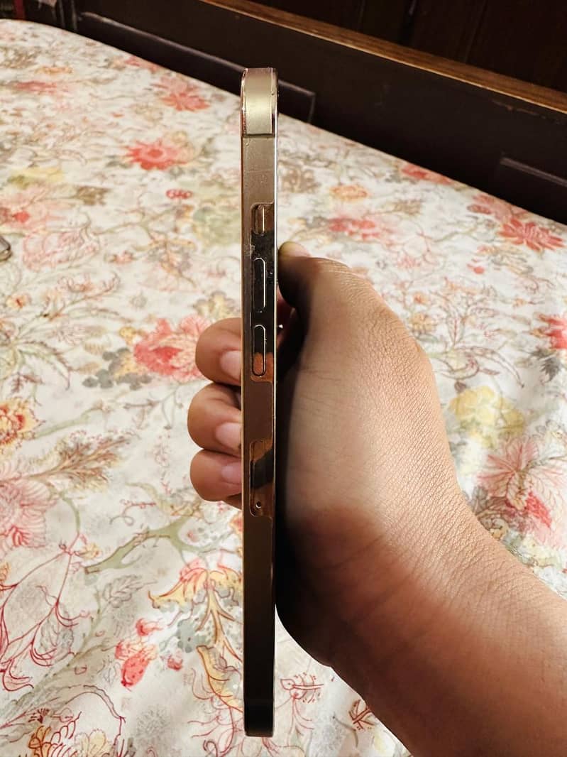 Apple iPhone 12 Pro Max 5