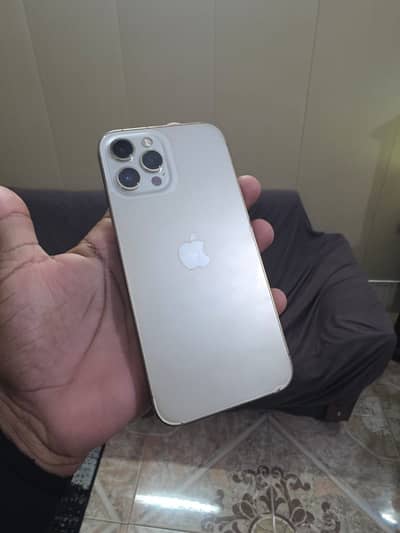 Apple iPhone 12 Pro Max