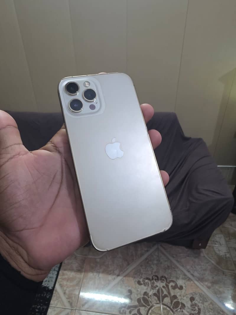 Apple iPhone 12 Pro Max 0