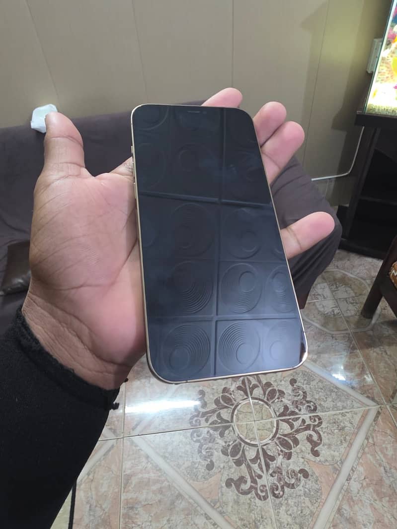 Apple iPhone 12 Pro Max 3