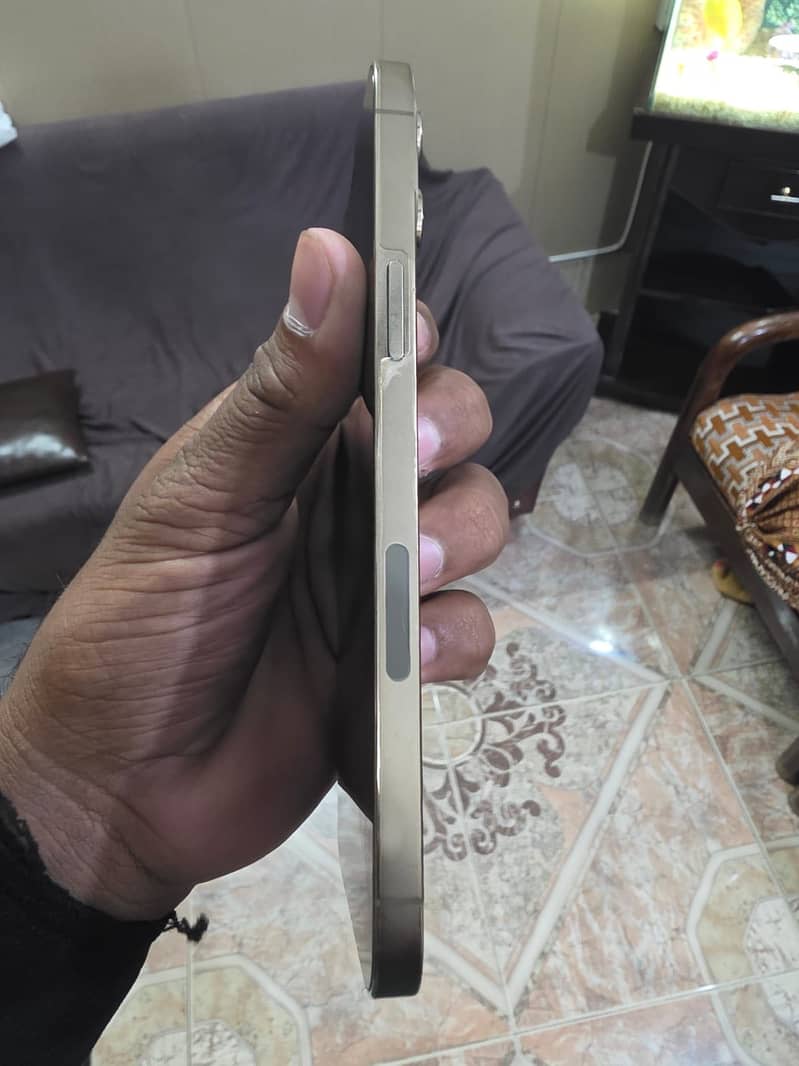Apple iPhone 12 Pro Max 5