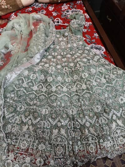 walima maxi