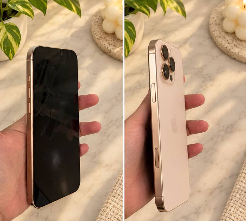 Apple iPhone 16 Pro Max 1