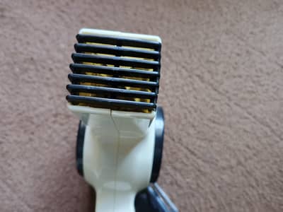 Diana Hair dryer and Styler Used