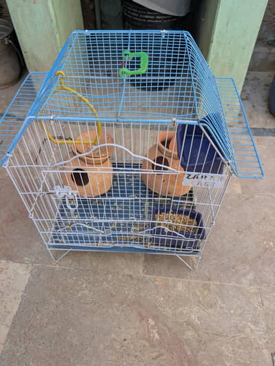 bird's cages