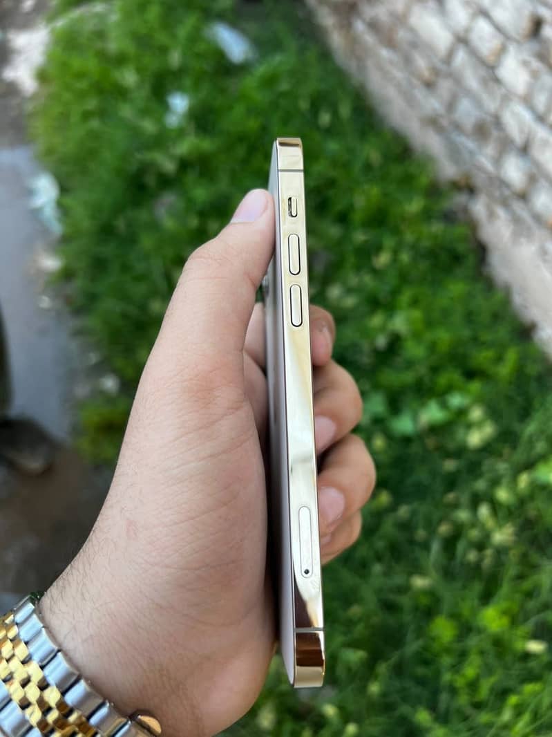 Apple iPhone 12 Pro 0