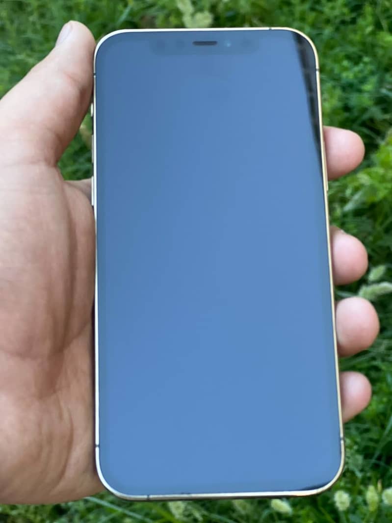 Apple iPhone 12 Pro 2