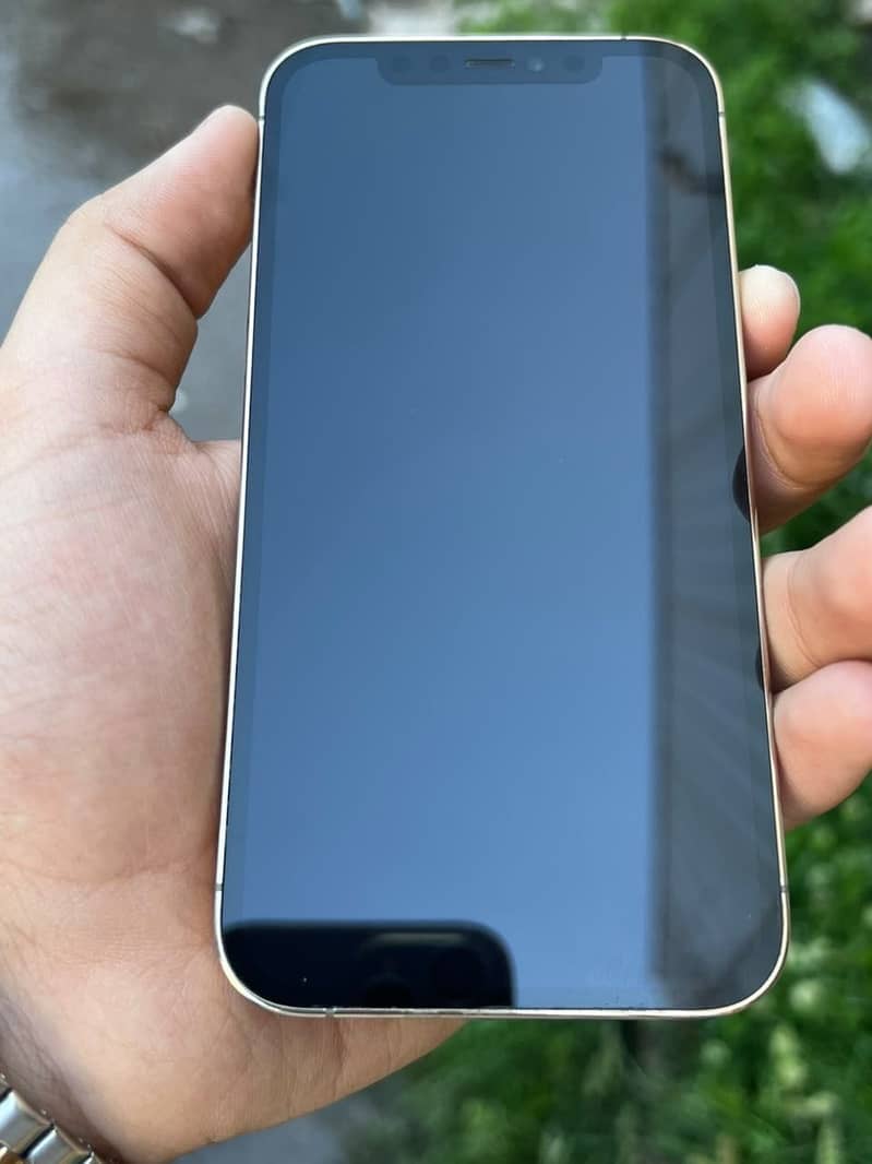 Apple iPhone 12 Pro 4