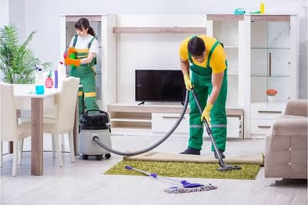 House maid / House Cleaner looking for job