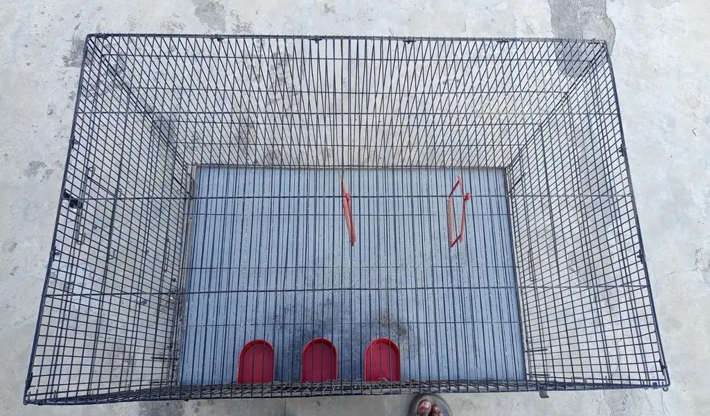 Cage For Sale — photo 3