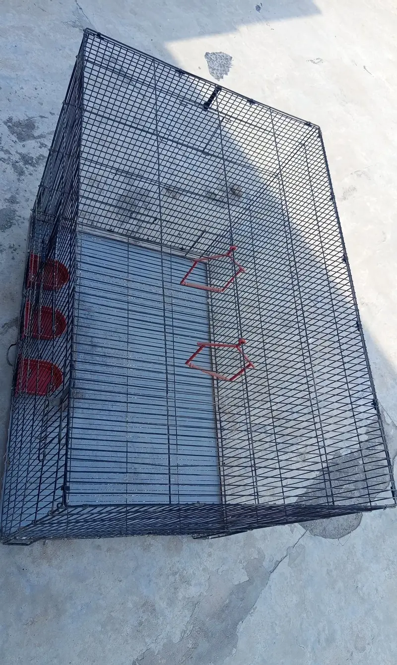 Cage For Sale — photo 4