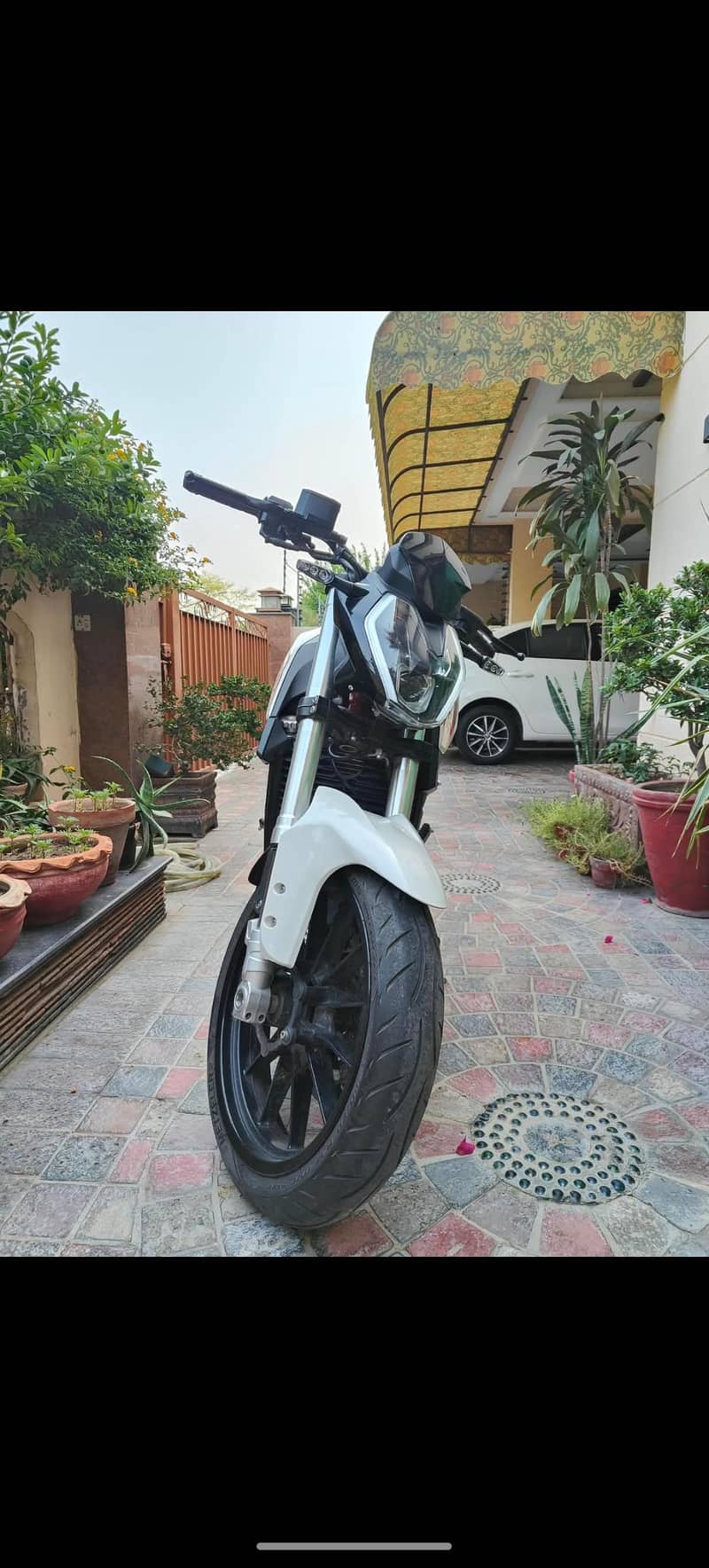 Benelli 251 4