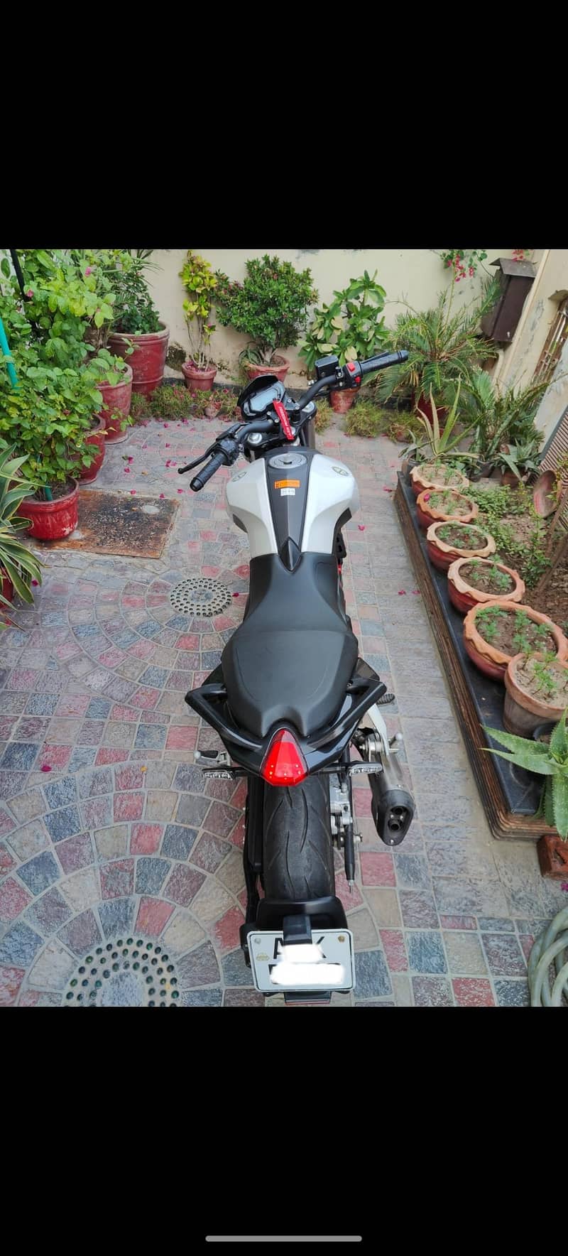 Benelli 251 5