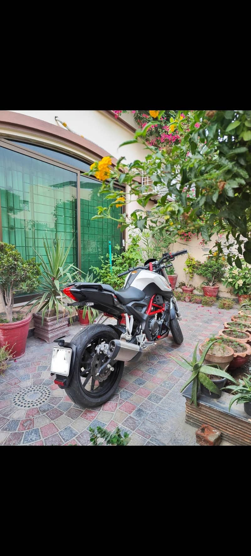 Benelli 251 6