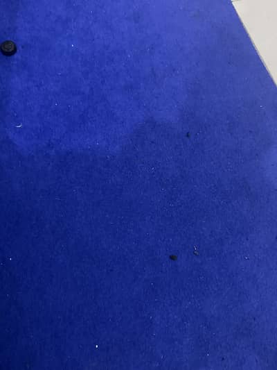 Carpet used