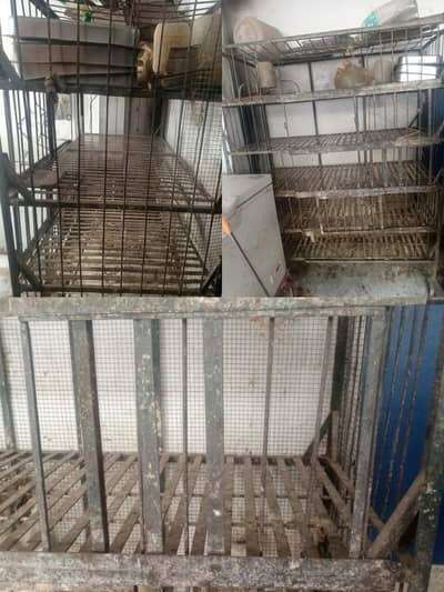 Pingra(bird cage)10-15 mun capacity  03405519895