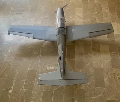 Handmade RC Plane: Display Piece