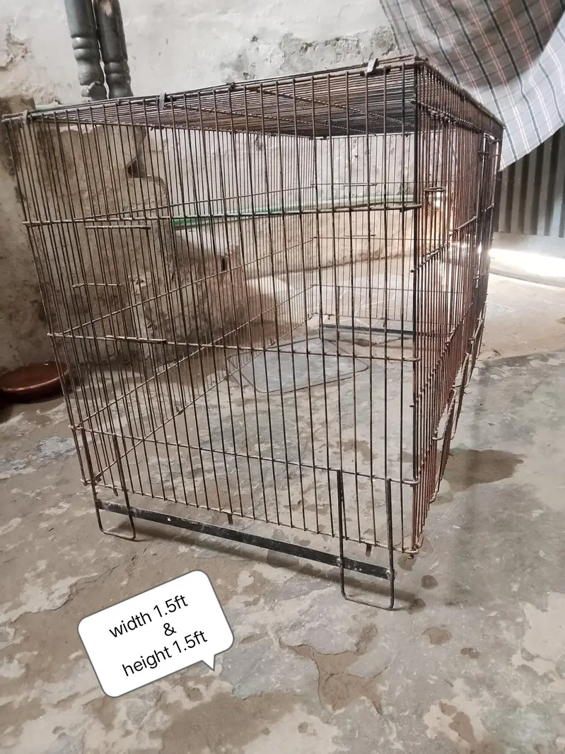 4 Cage's available. — photo 2