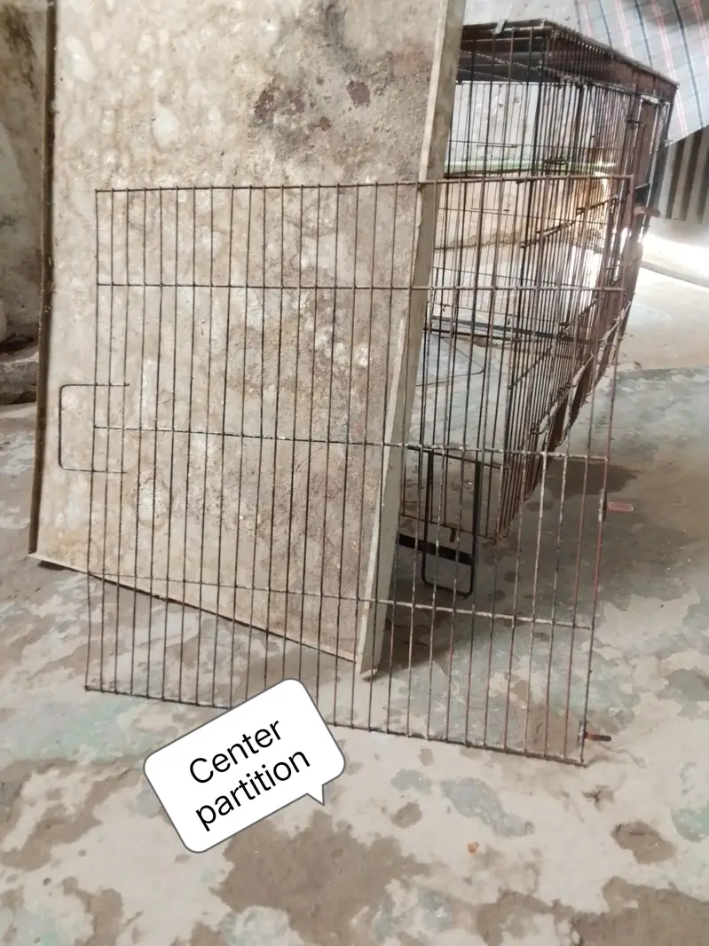 4 Cage's available. — photo 4