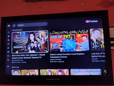 chanhang ruba smart 32 inch led with voice control