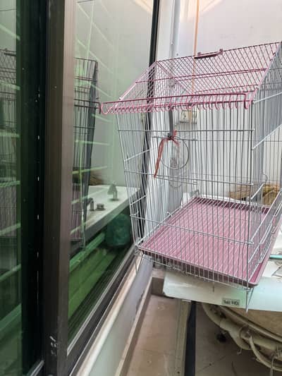 Birds cages
