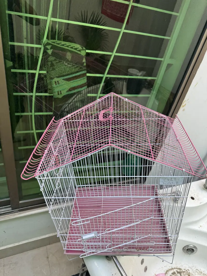 Birds cages — photo 2