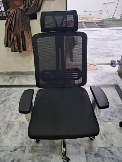 Stainless steel base Office Chair 10/10