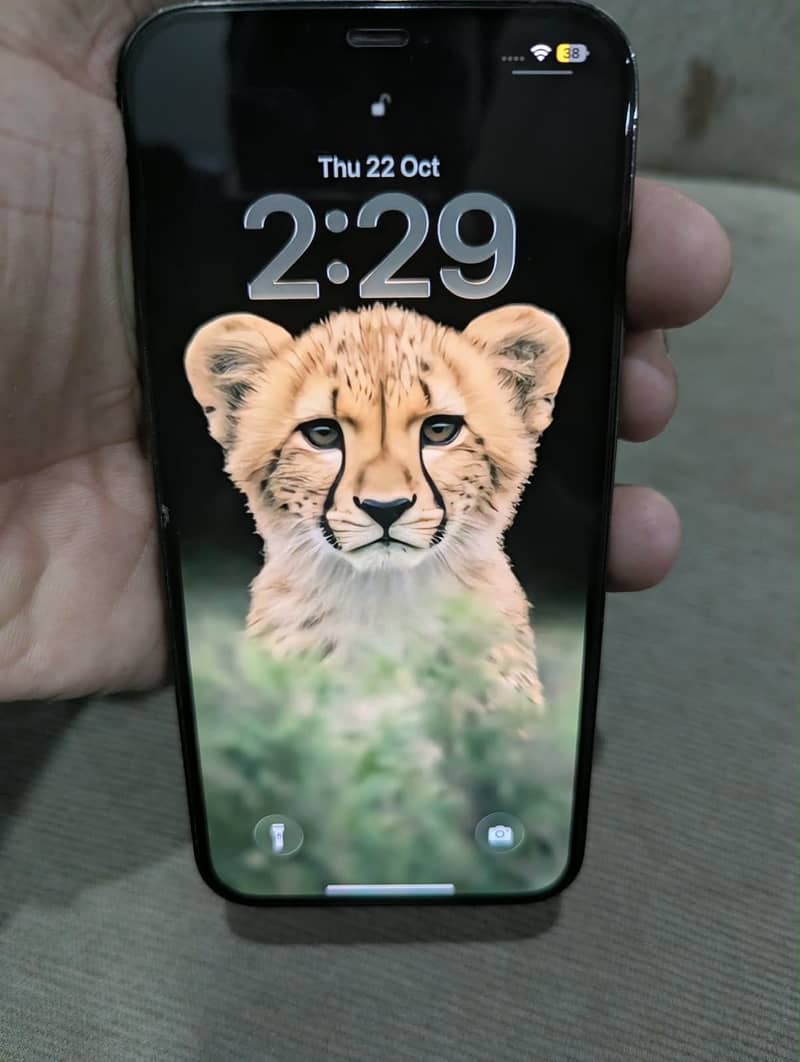 Apple iPhone 12 Pro Max 10