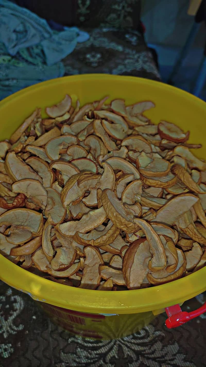 Fruit dehydrator machine 9
