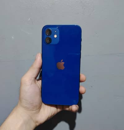 iPhone 12