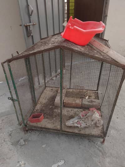 mazboot pinjra for sale
