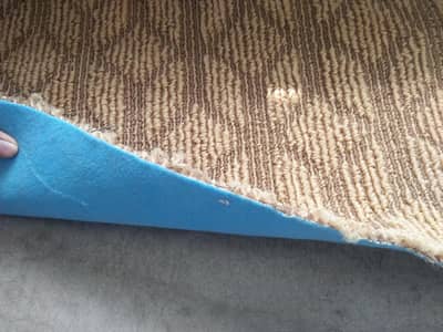 carpet for sale