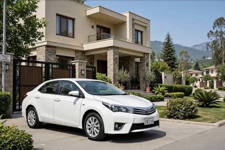 Driver Helper Required For House