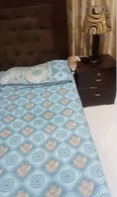 Sofa and bed for sale