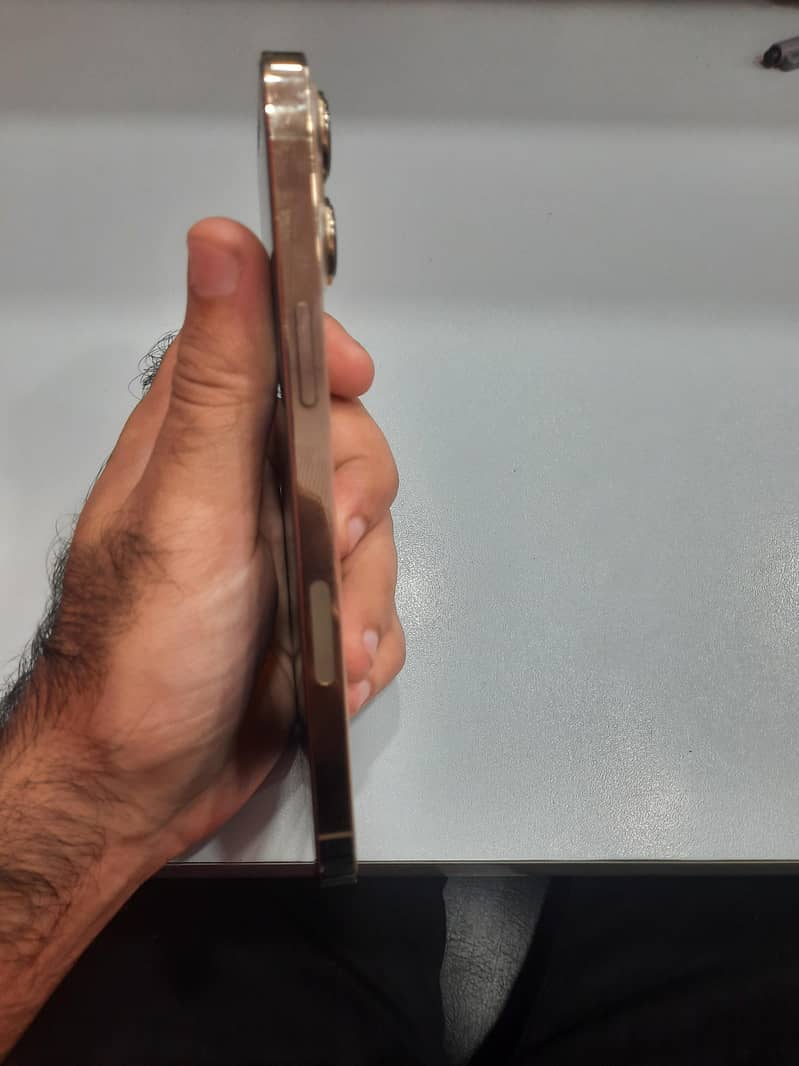 Apple iPhone 13 Pro Max 3