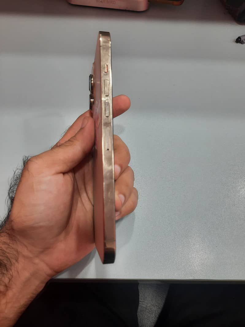 Apple iPhone 13 Pro Max 4