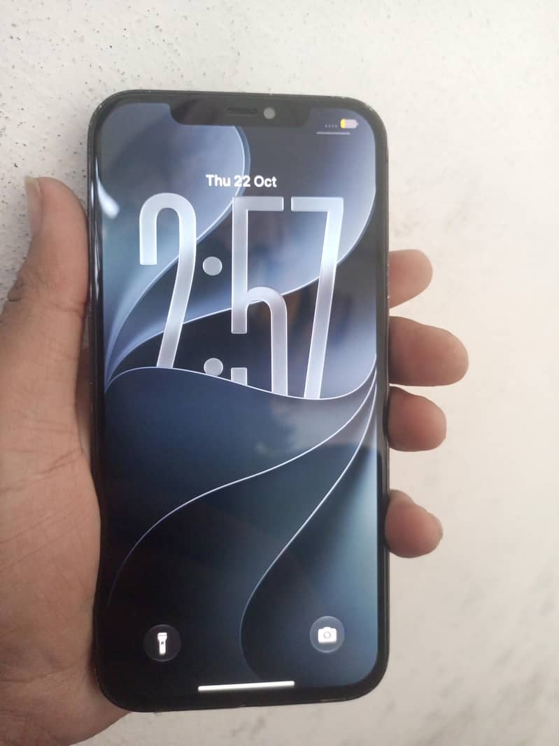 Apple iPhone 12 Pro Max 1
