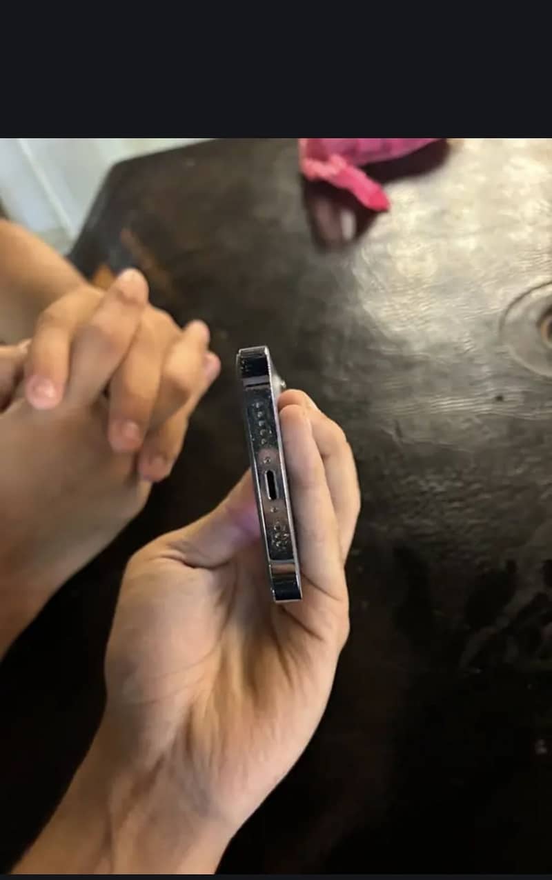 Apple iPhone 13 Pro 1