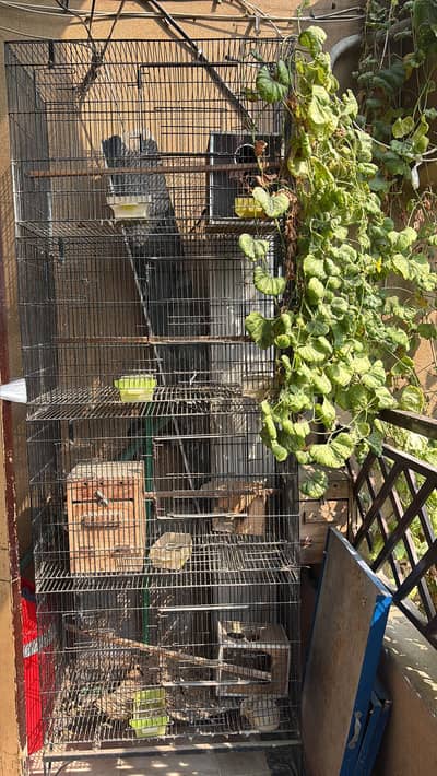 Cage for sale